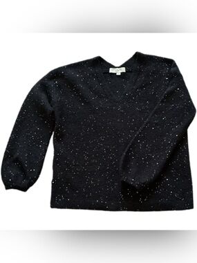 LOFT Black V-Neck Sweater with Silver Sequins